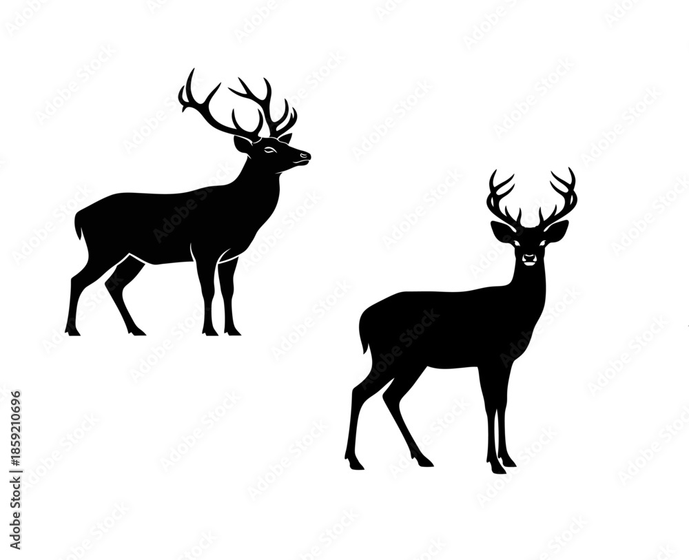 Obraz premium Silhouettes of two deer