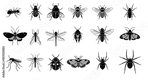 Collection of various insects and arachnids depicted in a minimalist black and white silhouette style