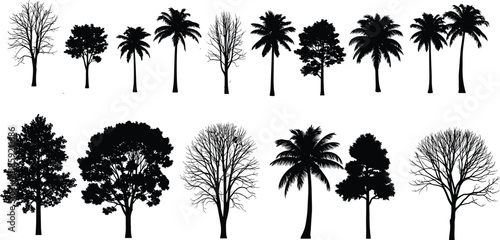 Collection of various tree silhouettes including palm and deciduous types, forest botanical vector illustration set, nature plant icons for landscape design projects,