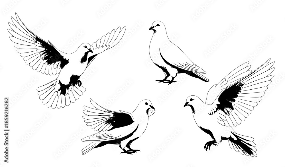 Obraz premium White dove peace symbol realistic pose set isolated vector illustration