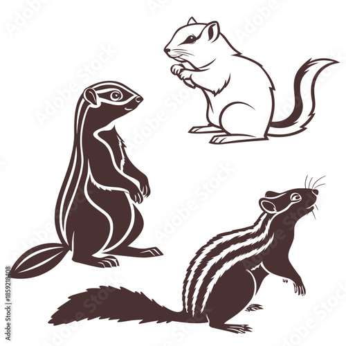 Charming chipmunks in various poses
