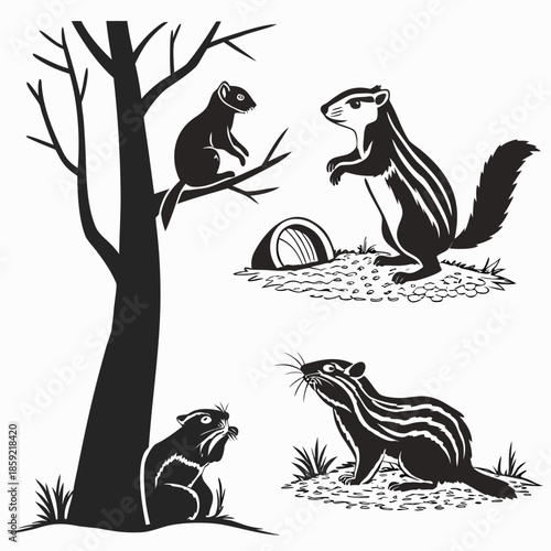 Black and white squirrel illustrations
