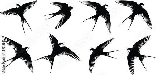 Set of flying swallow bird silhouettes, swift migratory swallows in flight, nature wildlife animal icons, black organic spring bird shapes, vector illustration, isolated.
