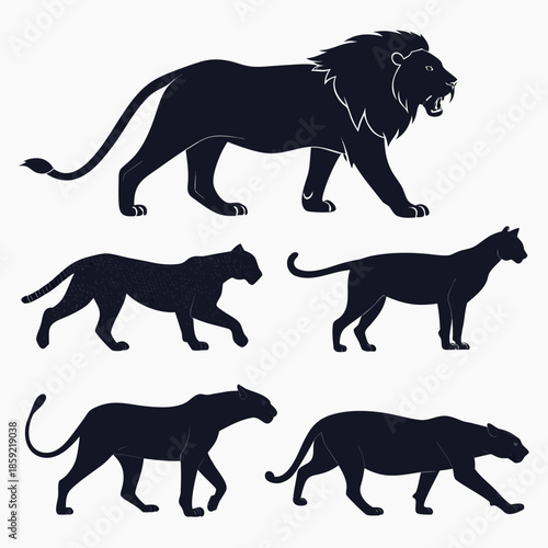 Photography Silhouettes of big cats