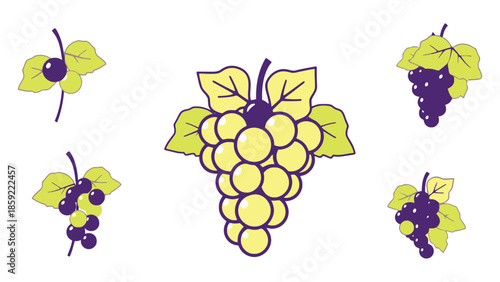 A collection of stylized grape clusters with leaves and a single cherry.