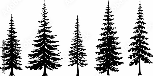 Silhouettes of coniferous trees a simple black and white forest illustration