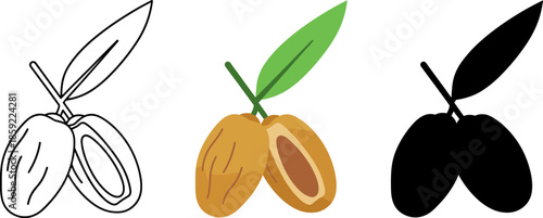 Fresh dates fruit collection with leaves and bowls in outline, colorful, and silhouette styles.
