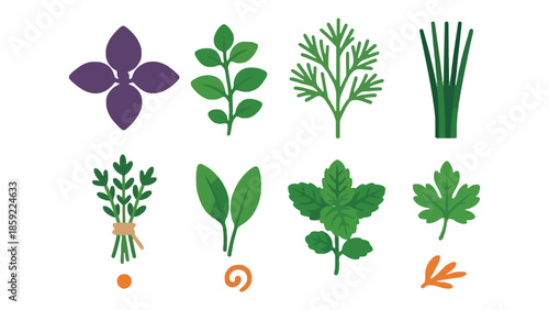 A collection of fresh herbs and spices arranged on a white background.