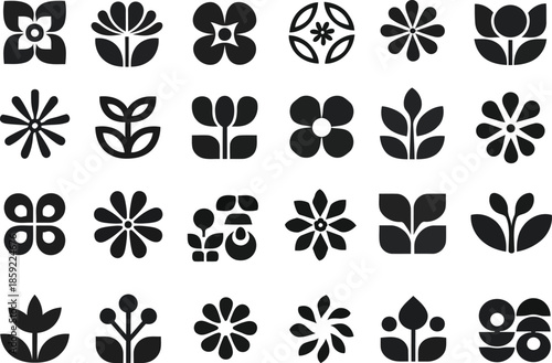 Floral Patterns: a curated collection of intricate floral designs, offering versatile elements for various creative projects.