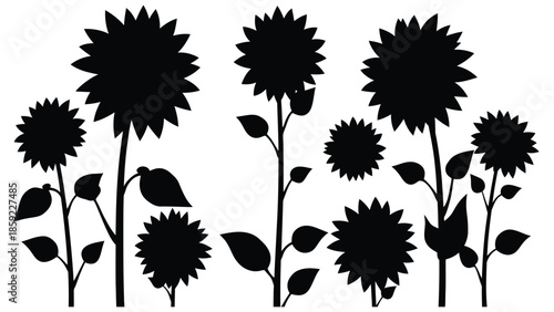 Silhouettes of sunflowers stand tall against a white background.