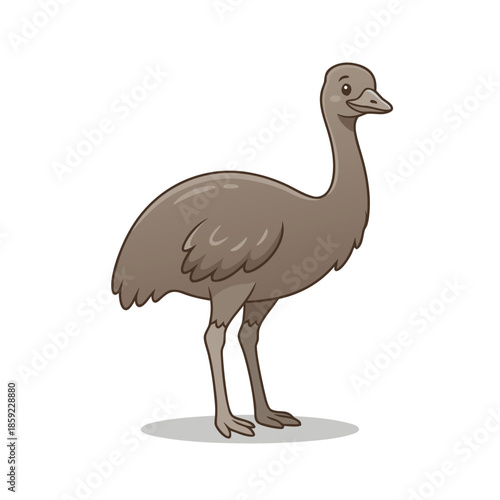 Cartoon illustration of a young emu chick standing on a white background.