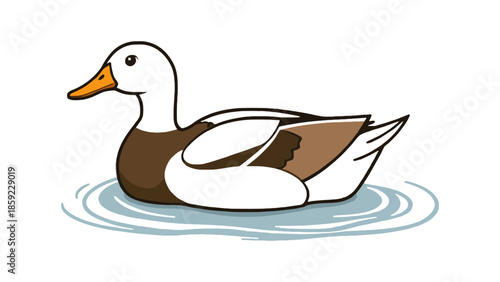A white and brown duck swims on rippling water.