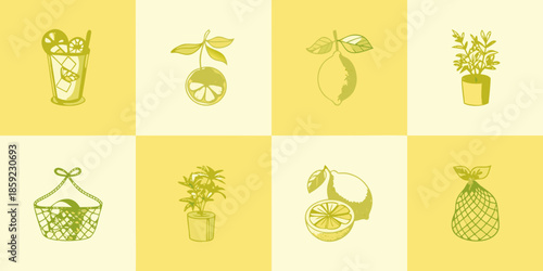 A collection of yellow citrus fruits and botanical illustrations on a grid