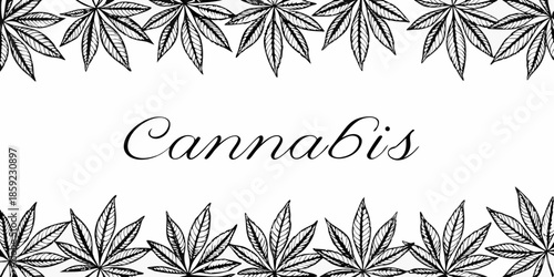 Botanical illustration of cannabis leaves with elegant script typography