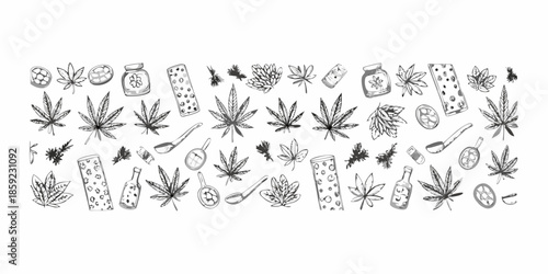 Sketch collection of cannabis leaves jars pipes and various botanical elements