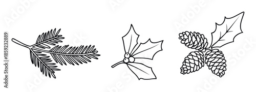 Decorative line art of festive winter botanicals featuring evergreen fir branches, holly berries, and pine cones, ideal for Christmas season cards, holiday invitations, and seasonal