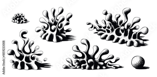 Various intricate monochrome organisms in an engraved style, featuring textured surfaces and shadows, ideal for scientific publications, educational materials, or visual aesthetic projects.