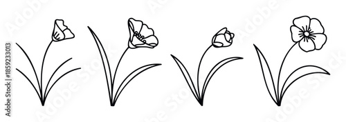 Botanical line drawing set featuring various blooming flowers with stems and leaves, perfect for spring decoration, naturethemed graphic projects, or educational resources.
