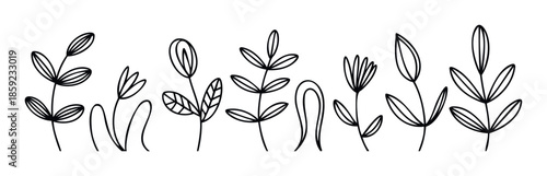 Simple black outline botanical illustrations featuring various plant stems and leaves for nature inspired graphic resources and decorative branding elements