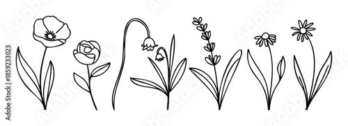 A collection of simple black outline drawings of various spring and summer garden flowers and plants, perfect for botanical themed decorations, prints, or graphic resource applications.