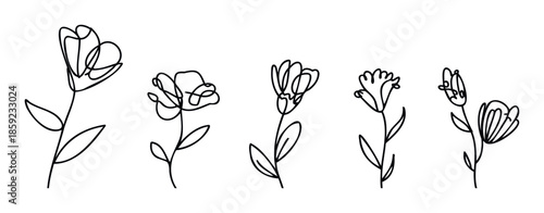 Elegant botanical continuous line illustrations of various flower shapes suitable for creating sophisticated graphic resources, wedding invitations, and modern branding elements.