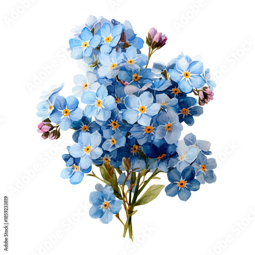Forget-me-not Bouquet, watercolor clipart vector, isolated on a white background.