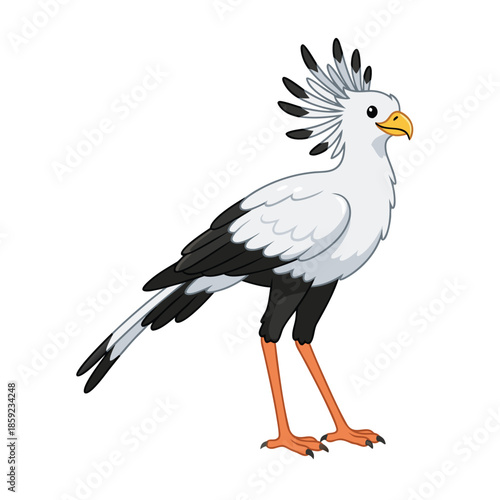 Cartoon Secretary Bird Standing on White Background.