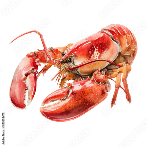 watercolor vector of Lobster Bisque, isolated on a white background.