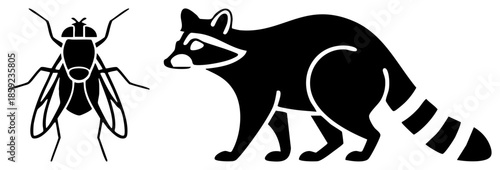fly and raccoon silhouette