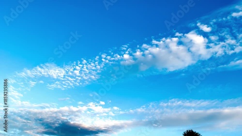 Windblown Treetop, Leaves of Pipal Tree with Roof of Temple on Bright Blue Sky Background with Clouds Record Video at Riverside Temple, Khai Si, Bueng Kan, Thailand. 05Nov2024, P.M./ Real Time Video