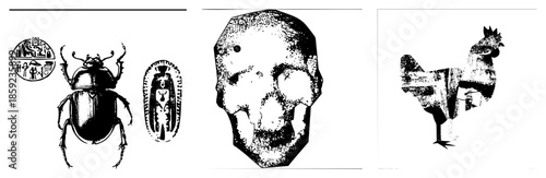 ancient egyptian beetle and skull vector