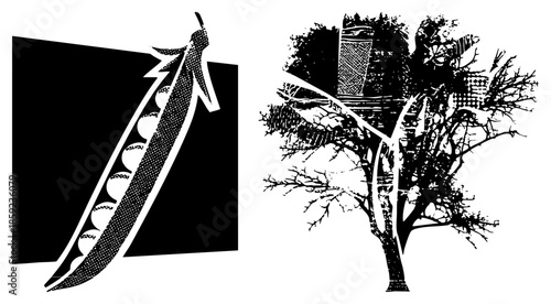 pea pod with baseballs inside and bare tree silhouette