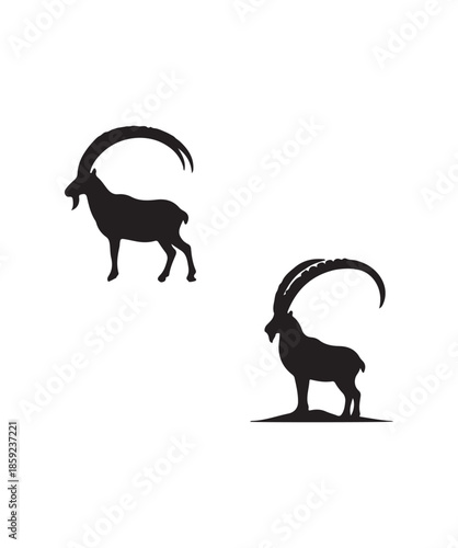 Mountain Ibex.