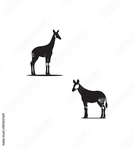  Okapi Standing.