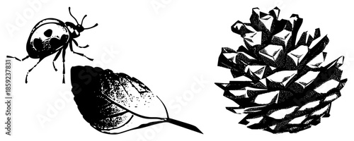 ladybug on leaf pinecone