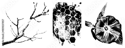 tree branch honeycomb flower vector set