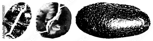 three coffee beans abstract halftone texture