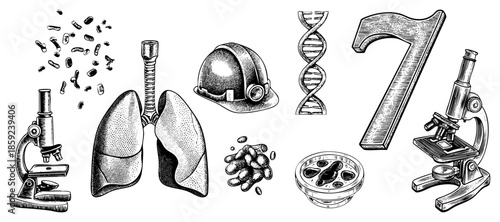 lungs bacteria dna microscope number seven safety helmet petri dish