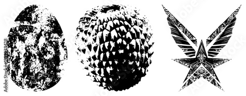 three stylized vector egg, durian, star with wings