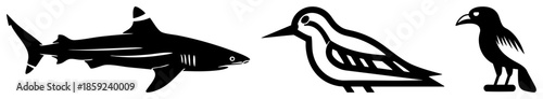 shark woodpecker crow vector