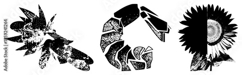 Three stylized sunflower with halftone textures