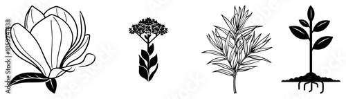 four botanical vector black and white