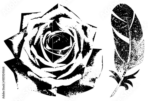 rose and feather black and white vector illustration