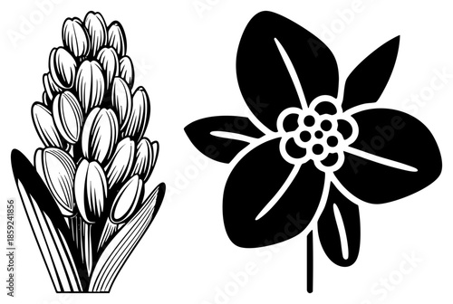 two stylized flowers black and white vector