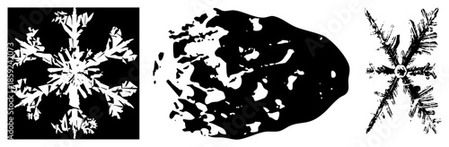 Three snowflake and asteroid vector