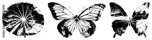 three stylized insect silhouettes with vein