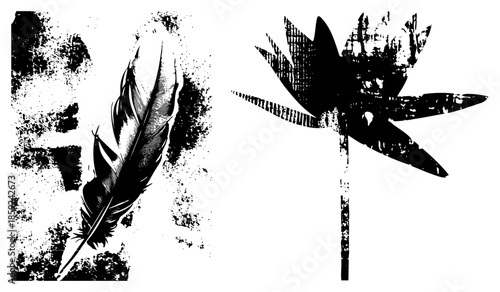 feather and dragonfly vector illustration