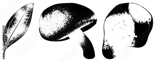 leaf mushroom abstract shapes