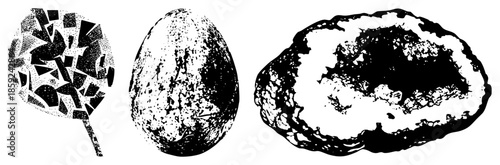 Three stylized natural objects in black and white vector art