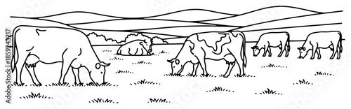 Vector line art illustration of a herd of cows grazing in a rural meadow landscape Black and white outline design suitable for coloring book pages